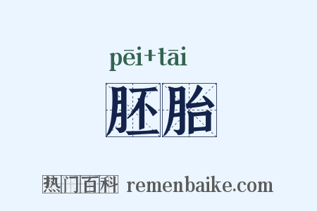 胚胎是什么意思的图片